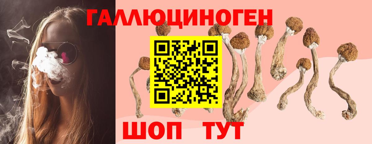 Псилоцибиновые грибы Cubensis  Псилоцибиновые грибы Cubensis  Архангельск  Вход с VPN 